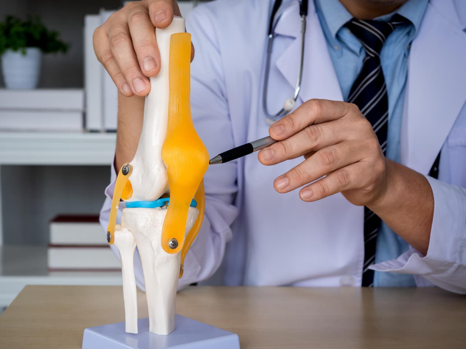 Best orthopedic doctor showing knee joint model for advanced bone treatment in Noida.
